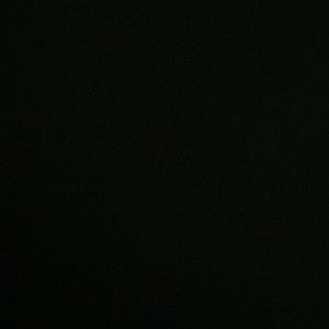 Meet your Posher, Taisha